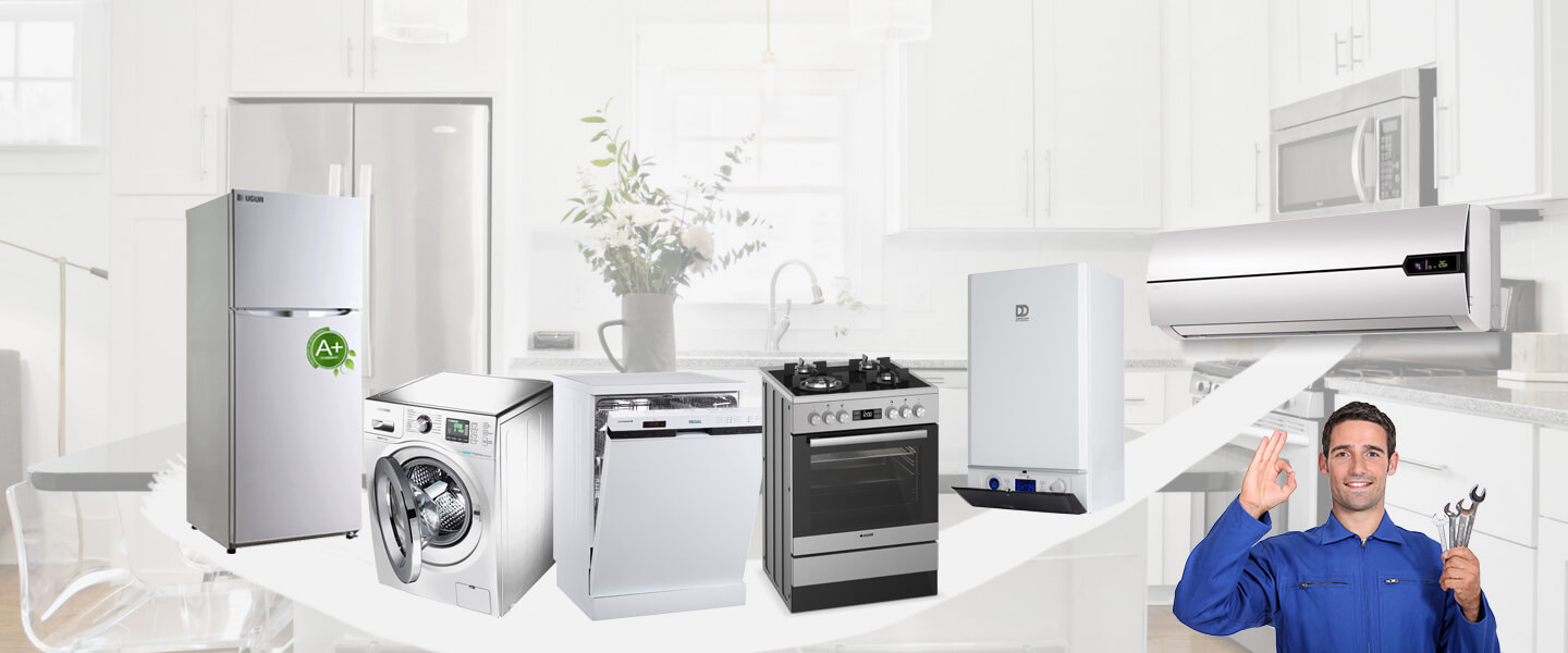 Kemeraltı Electrolux Servisi